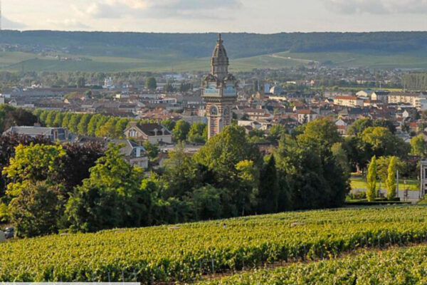 Champagne – Reims - Image 4